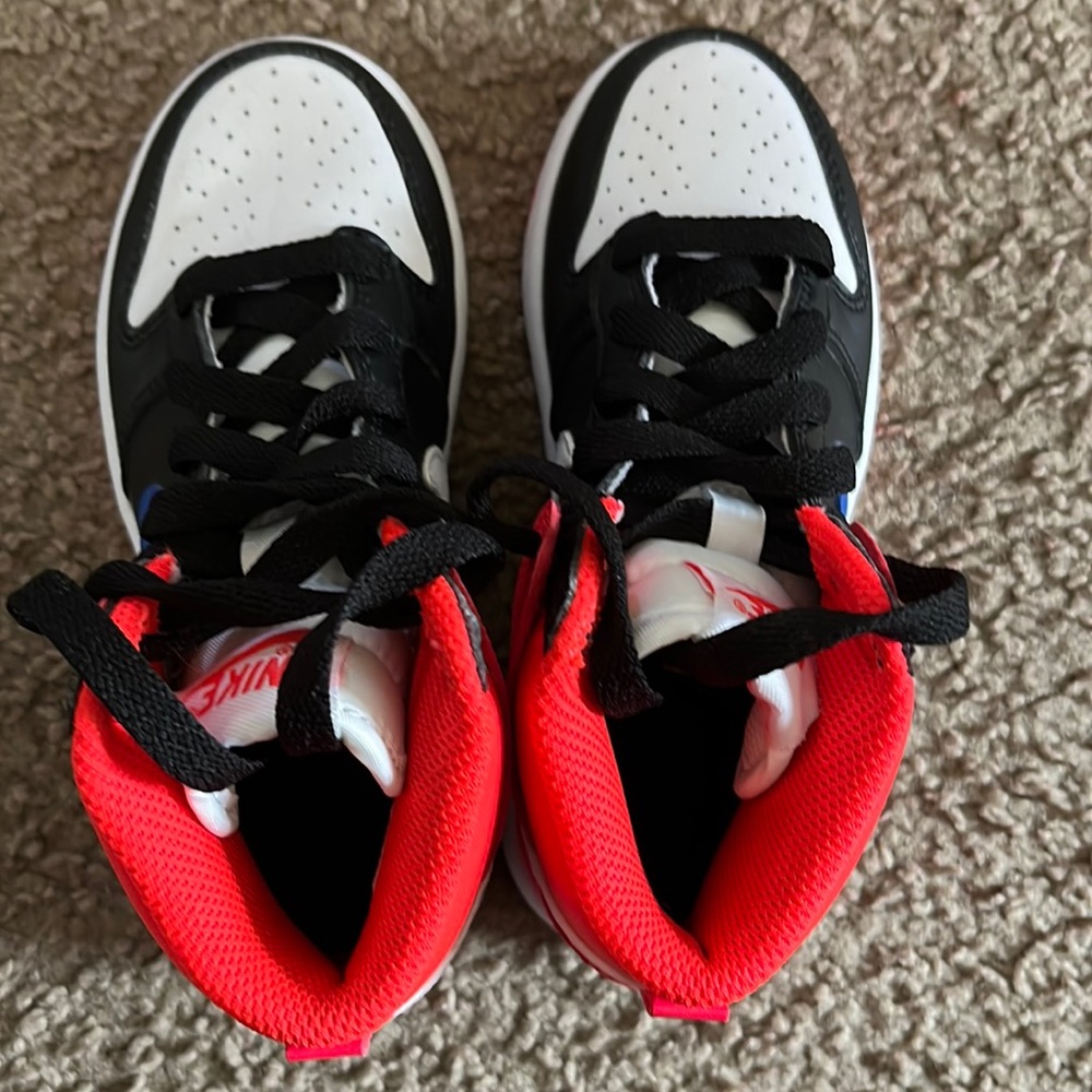 Size 10.5 Nike Dunk High